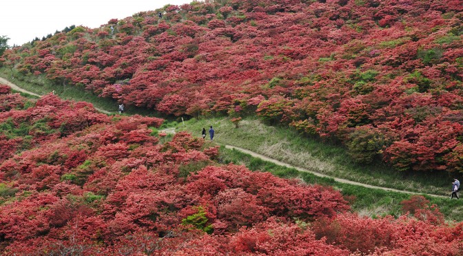 奈良県　御所市　葛城山